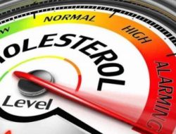 Mengenal Lebih Dalam Soal Kolestrol dan Jenisnya