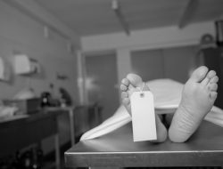 Dituduh Curi Senjata, Bocah Kelas 4 SD Tewas di Tangan Aparat