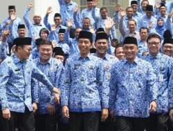 Presiden Jokowi Sebut 6 Lembaga Akan Dipindahkan ke IKN Nusantara