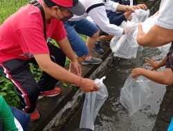 Peringati HPN, PWI dan IKWI Bali Tebar Ribuan Benih Ikan