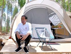 Presiden Jokowi akan Bentuk Dewan Pengarah Otorita IKN Nusantara