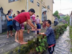Heboh, Warga Denpasar Utara Temukan Bayi di Selokan Air