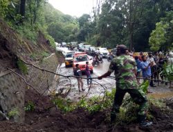 Pohon Tumbang Akibat Hujan Lebat, Babinsa Koramil Sembalun Sigap Amankan Lokasi