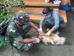Tiga Warga Jadi Korban Gigitan Anjing, Babinsa Mendoyo Ambil Langkah Cepat Antisipasi Rabies