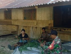 Komsos Bersama Warganya, Babinsa Koramil 1613-01/Loli Sosialisasikan Manfaat Tanaman Kelor