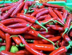 Jelang Idul Adha Harga Pangan Melonjak, Cabai Rawit Merah Tembus Rp 100 Ribu per Kg