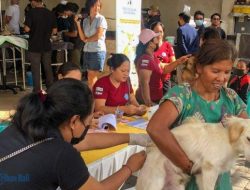 Pemkot Denpasar Gencarkan Vaksin Rabies, Utamanya di Wilayah Sanur