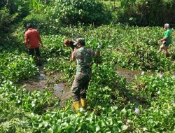 Support Peternak Ikan Air Tawar, Ini Yang Dilakukan Babinsa Jajaran Kodim 1615/Lotim