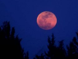 Fenomena Langka Bulan Purnama Stroberi Super akan Terjadi Sore Ini, Berikut Jadwalnya di Indonesia