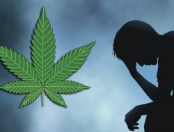 Pakai Ganja, Anak Anggota DPRD di Bali Jadi Tersangka