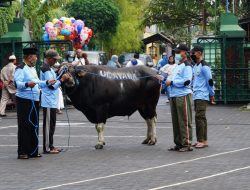 Kodam IX/Udayana Jadikan Hikmah Idul Adha 1443 H/2022 M Sebagai Momentum Menumbuhkan Kepedulian Sosial