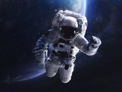 Ngeri, Ilmuwan Sebut Tulang Astronot Keropos Selama Lakukan Perjalanan Luar Angkasa, Ini Sebabnya