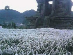 Mengenal Embun Es yang Kerap Muncul di Dieng Bak Salju di Eropa