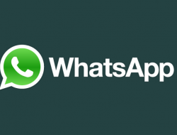 Agar Aman, Segera Update Aplikasi WhatsApp Anda Sekarang!