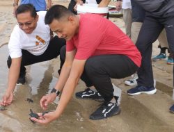 Jaga Kelestarian Ekosistem Laut, Pangdam Lepas Puluhan Tukik Saat Jalan Santai di Pantai Sanur