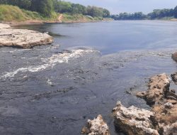 Didatangi DLHK, Pemilik Rumah Jagal Anjing Akui Buang Darah dan Jeroan ke Sungai Bengawan Solo