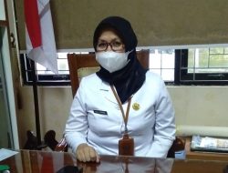 Dinkes Magelang Sigap Menanggapi Issu Paracetamol Penyebab Gagal Ginjal pada Anak