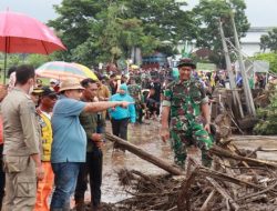Banyak Material Kayu Terbawa Arus Banjir di Jembrana, Pemegang Izin KPR Hutan Dipanggil