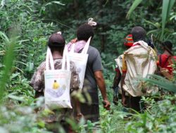 KLHK: 150 Hutan Adat di Seluruh Indonesia Sudah Diakui Negara