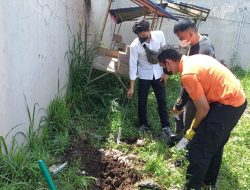 Jadi Korban Mutilasi, Puluhan Kucing Mati Mengenaskan Badan-Kepala Terpisah di Tasikmalaya