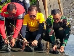Gandeng PT Pertamina, Dandim 1611 Badung Tanam 2.000 Bibit Mangrove