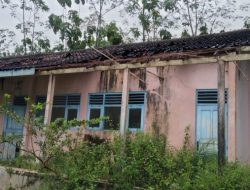 Memprihatinkan, Bangunan Sekolah Eks Program Regrouping Terbengkalai dan Dipenuhi Belukar