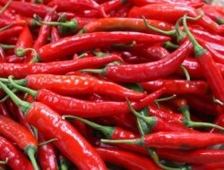 Akibat Cuaca Buruk, Harga Cabai di Cirebon Melonjak Jadi Rp 70Ribu Per Kg