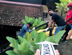 Wanita Asal Rusia Ditemukan Tewas di Vila Ubud Bali