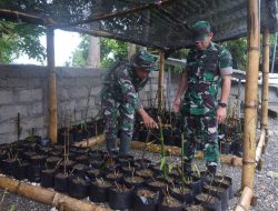 Budidayakan Bambu Hitam yang Hampir Punah, Dandim 1621/TTS Apresiasi Inisiatif Koramil Abanteng