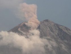 Kembali Erupsi, Tinggi Letusan Gunung Semeru Capai 800 Meter di Atas Puncak