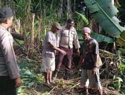 Seorang Ibu di Papua Tewas Diserang Burung Kasuari Liar, Tubuhnya Tercabik-cabik