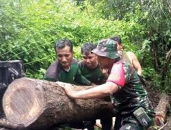 25 Gelondongan Kayu Bekas Pembalakan Liar di Hutan Desa Boak Diamankan Tim Gabungan
