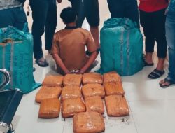 Diimingi Upah Jutaan, Pelajar Asal Sumbar Nekat Bolos Sekolah Demi Antar Ganja ke Jakarta