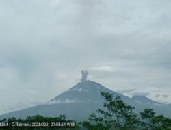 Erupsi, Gunung Semeru Muntahkan Abu Vulkanik Setinggi 600 Meter di Atas Puncak