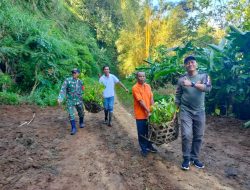 Dipimpin Danramil Banjar, 3.000 Pohon Mahoni Ditanam di Desa Gobleg