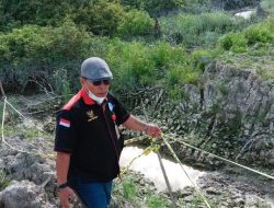 Hutan Mangrove di Labura Jadi Kebun Sawit, GAKORPAN Laporkan AT ke GAKKUM LHK Wilayah Sumatera