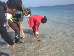 Hadiri Perayaan Tumpek Uye, Dandim 1610/Klungkung Turut Melepas Burung dan Tukik