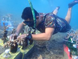 Lestarikan Ekosistem Bawah Laut, Anggota Kodim 1624/Flotim Turut Tanam Terumbu Karang