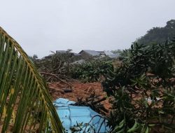 BNPB Kirim Bantuan Logistik dan Dana Siap Pakai untuk Korban Bencana Longsor di Natuna