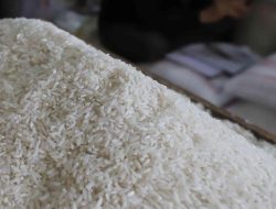 1,46 Juta Keluarga Berisiko Stunting Bakal Dapat Bansos Pangan