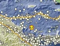 Gempa M6,5 Guncang Keerom Papua, Tak Berpotensi Tsunami