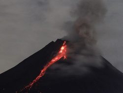 Gunung Merapi Lontarkan Guguran Lava Pijar hingga 14 Kali Sejauh 2.000 Meter