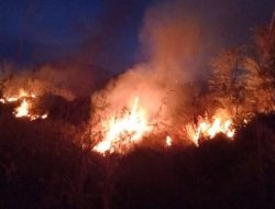 Kebakaran Hutan dan Lahan di Kalsel Capai 42 Hektare, Status Ekstra Siaga