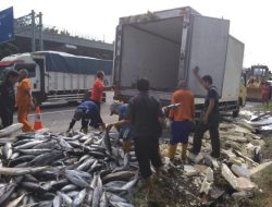 Warga Berebut Ikan yang Berserakan Usai Truk Muatan Kecelakaan di Tol Japek