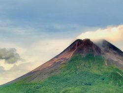 Gunung Merapi 9 Kali Keluarkan Guguran Lava Sejauh 1.500 Meter