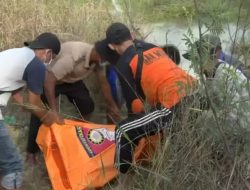 Istri Korban Perampokan yang Diculik di Tulang Bawang Ditemukan Tewas di Rawa