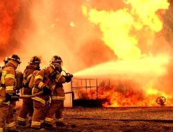 Sebanyak 8 Kios di Pasar Kamal Kalideres Terbakar