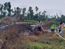 Ayah dan Anak di Riau Dicokok Polisi Gegara Bakar Lahan 5 Hektare untuk Perkebunan