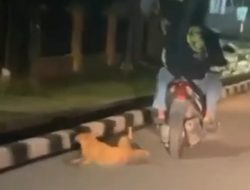 Viral Dua Pria Kendarai Motor Sambil Seret Anjing Diburu Komunitas Pencinta Hewan hingga Polisi