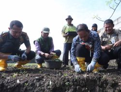 Perkuat Pengendalian Inflasi, Dr. Nurdin: Masifkan KWT dan Urban Farming